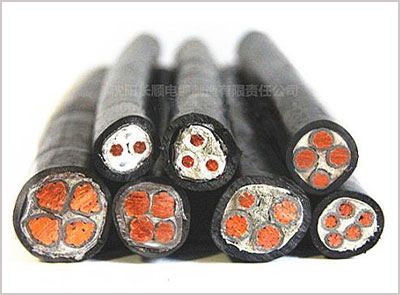 永利官网app登录